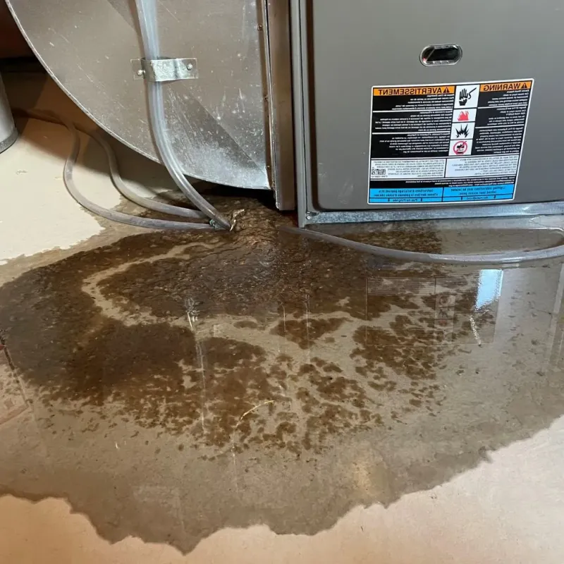 Pipe Burst and Leak Restoration in Fairview Park, IN